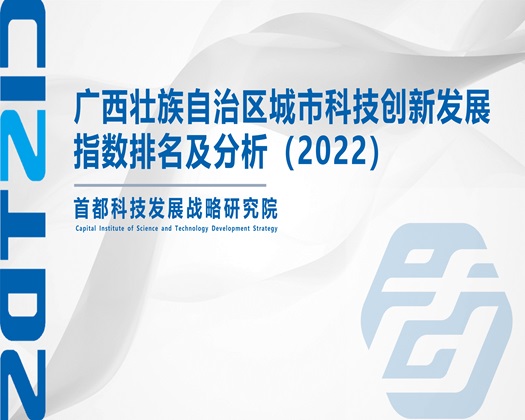 猛插鸡巴黄色网站【成果发布】广西壮族自治区城市科技创新发展指数排名及分析（2022）